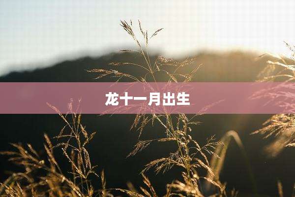 龙十一月出生
