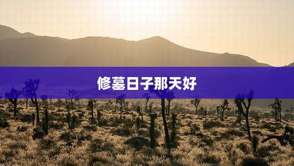 修墓日子那天好