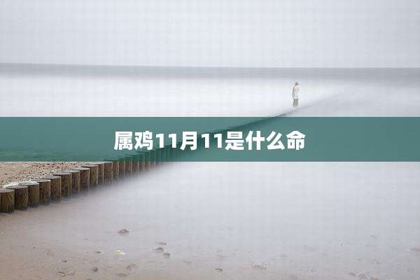 属鸡11月11是什么命