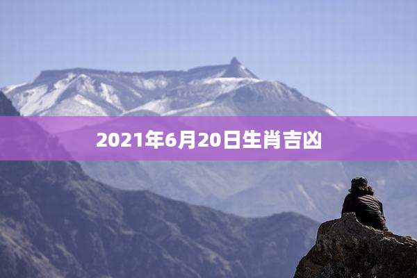 2021年6月20日生肖吉凶