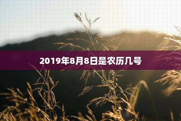 2019年8月8日是农历几号