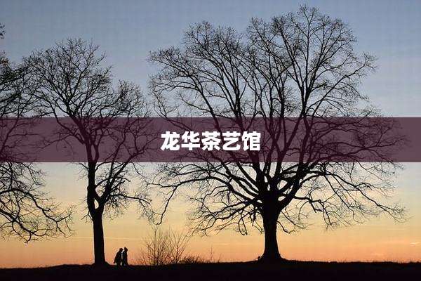 龙华茶艺馆