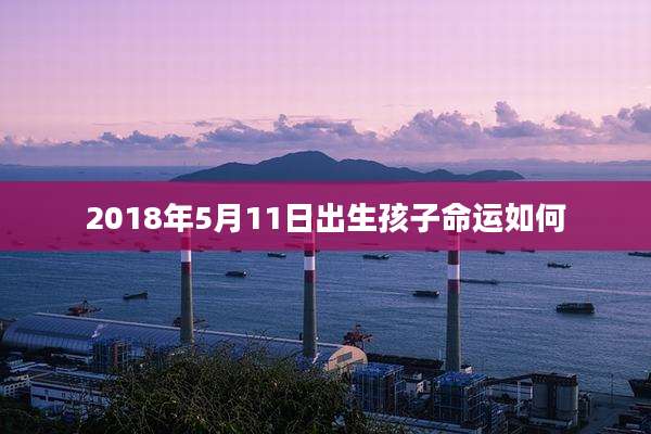 2018年5月11日出生孩子命运如何