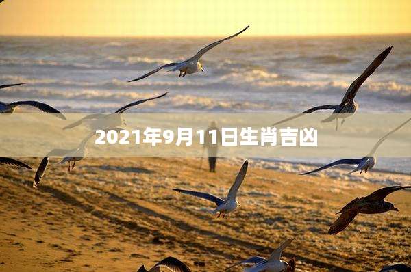 2021年9月11日生肖吉凶