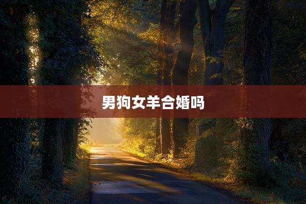男狗女羊合婚吗