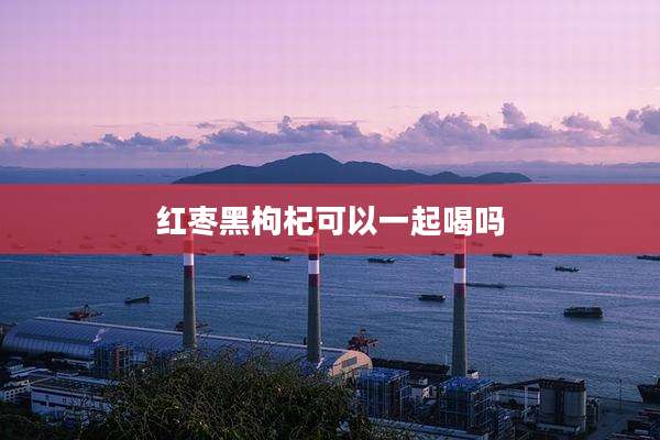 红枣黑枸杞可以一起喝吗