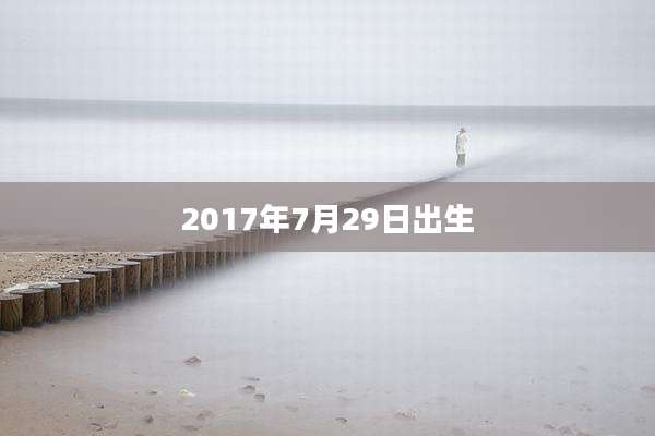 2017年7月29日出生