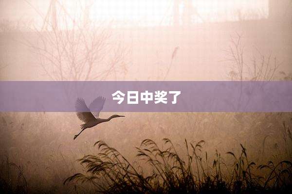 今日中奖了