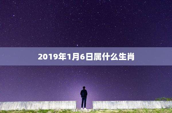 2019年1月6日属什么生肖