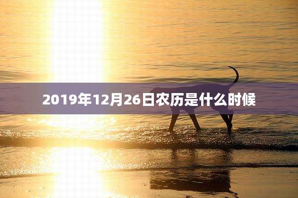 2019年12月26日农历是什么时候