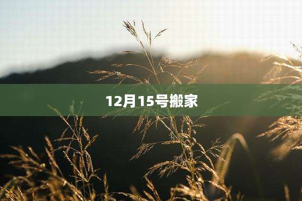 12月15号搬家