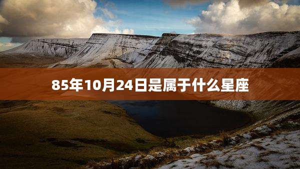 85年10月24日是属于什么星座