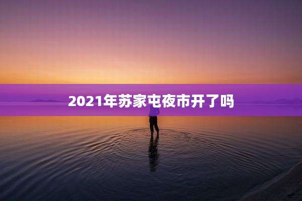 2021年苏家屯夜市开了吗