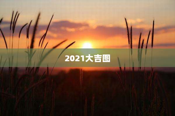 2021大吉图
