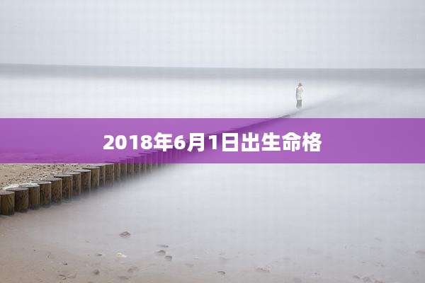 2018年6月1日出生命格