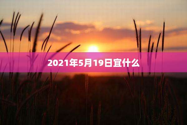 2021年5月19日宜什么