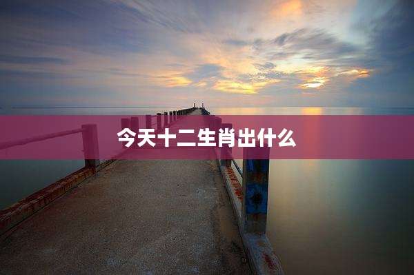 今天十二生肖出什么