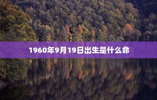 1960年9月19日出生是什么命