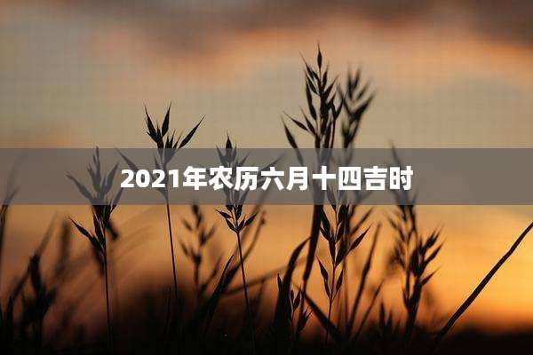 2021年农历六月十四吉时
