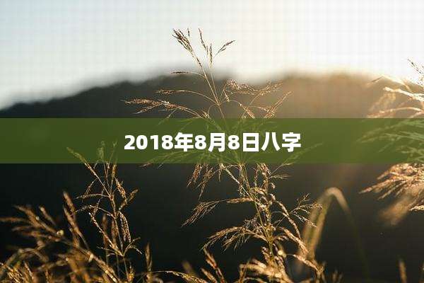 2018年8月8日八字