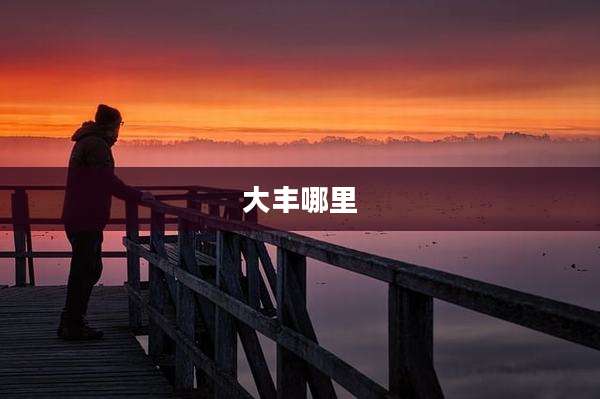 大丰哪里