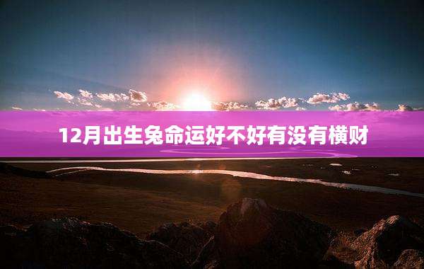 12月出生兔命运好不好有没有横财