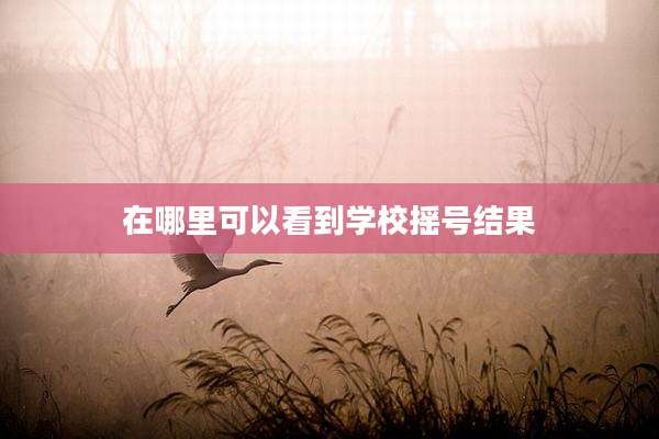 在哪里可以看到学校摇号结果