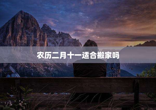 农历二月十一适合搬家吗