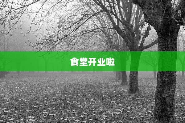 食堂开业啦