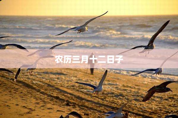 农历三月十二日子