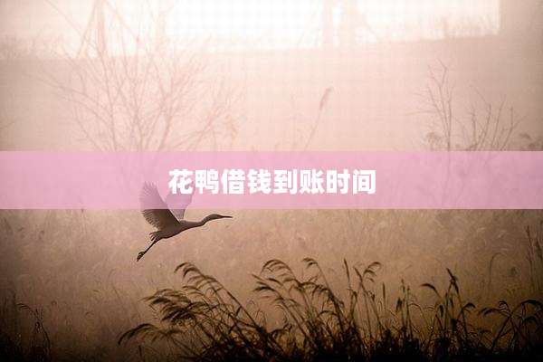 花鸭借钱到账时间