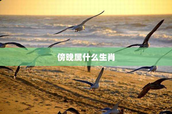 傍晚属什么生肖