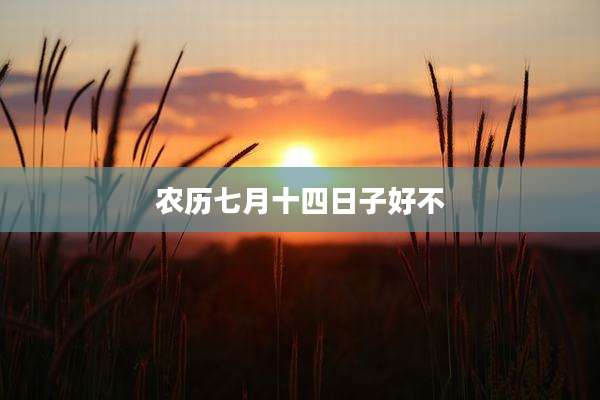 农历七月十四日子好不