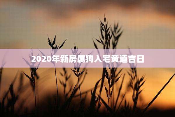 2020年新房属狗入宅黄道吉日