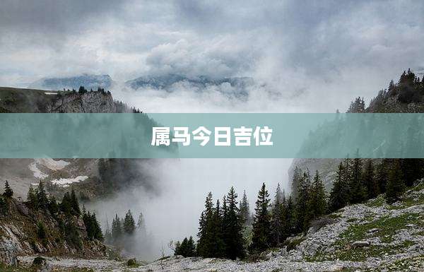 属马今日吉位