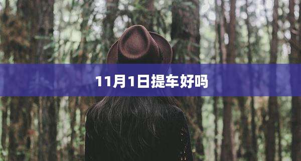 11月1日提车好吗