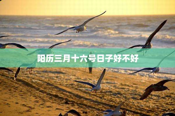 阳历三月十六号日子好不好