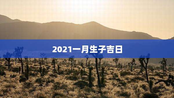 2021一月生子吉日