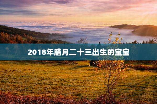 2018年腊月二十三出生的宝宝