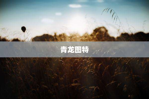 青龙图特