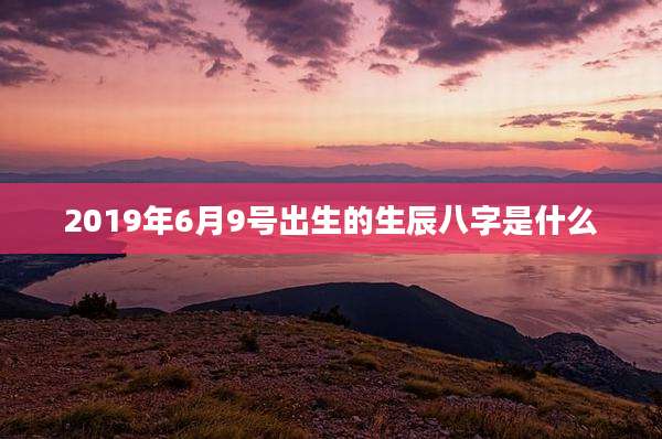 2019年6月9号出生的生辰八字是什么