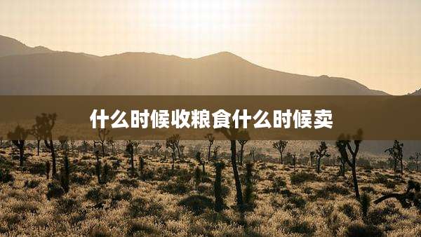 什么时候收粮食什么时候卖
