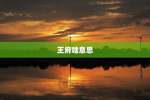 王府啥意思