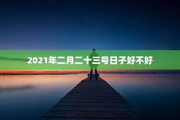 2021年二月二十三号日子好不好