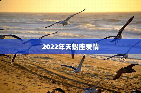 2022年天蝎座爱情