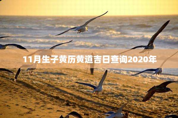11月生子黄历黄道吉日查询2020年