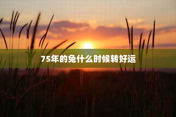 75年的兔什么时候转好运