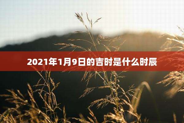 2021年1月9日的吉时是什么时辰