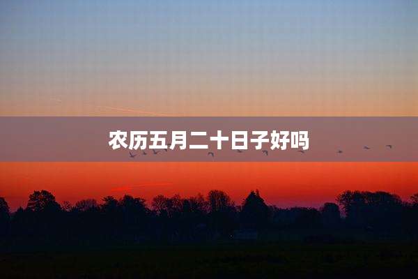 农历五月二十日子好吗