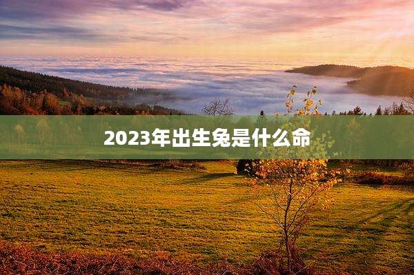 2023年出生兔是什么命